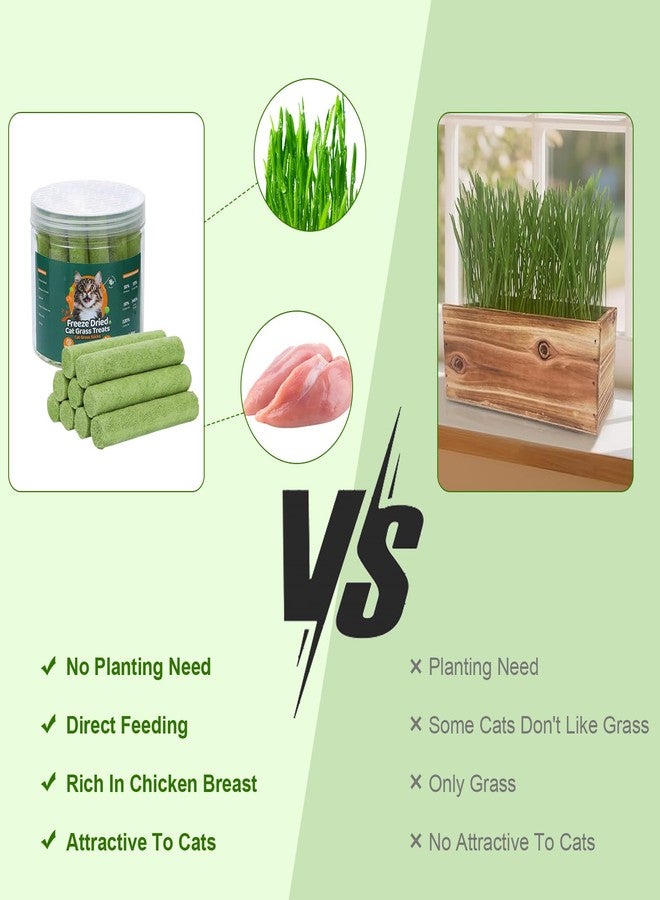 SuPruida 110g Cat Grass Sticks for Indoor Cats, Natural Freeze-Dried Treats, Hairball Treatment, Edible Chew Toy Snack for Teething & Hairball Removal - Image 4